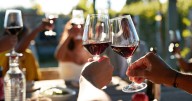 Expert shares wine storage 'mistake' everyone is making