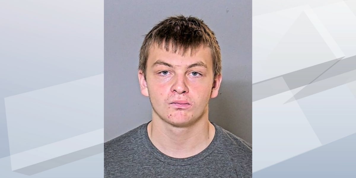 18-year-old Larsen man formally charged with reckless homicide for fiery crash