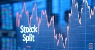 Sikko Industries: Stock Split, Bonus Issue Draws Attention To SME Pesticides Maker