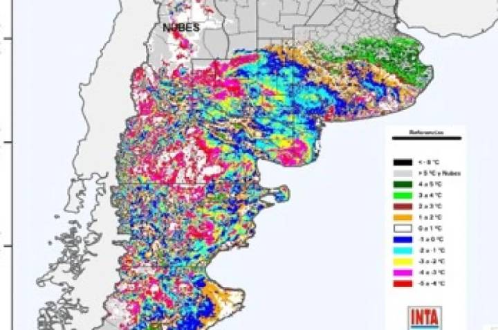 El frío no avisa: heladas y pérdidas para la La Pampa