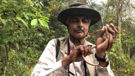 Vivek Menon becomes first Asian to lead IUCN Species Survival Commission
