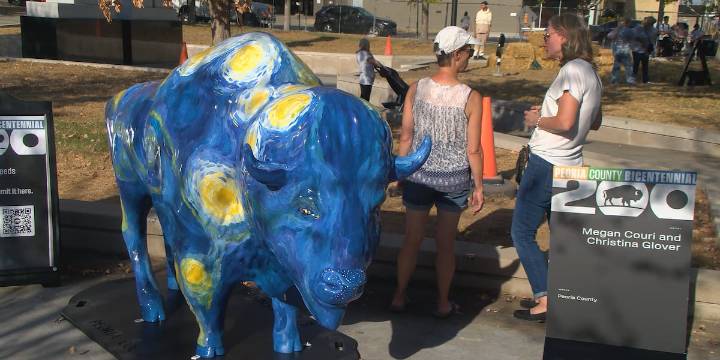 Mini-bison loom large at Peoria County bicentennial