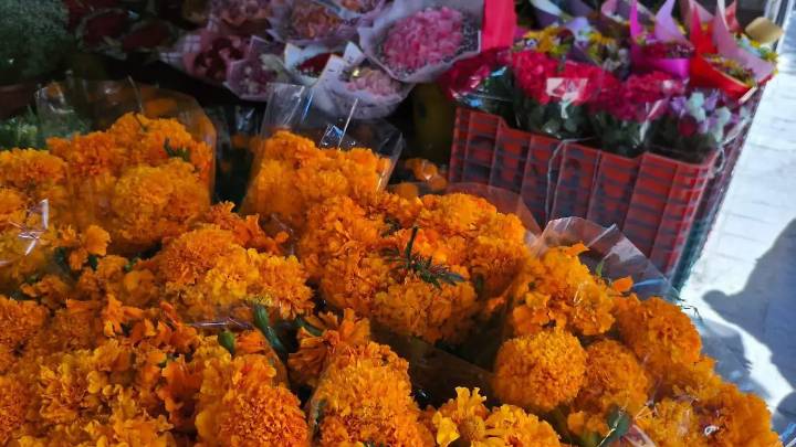 Comerciantes de flores en León esperan ganancias de hasta 50% más por Día de Muertos