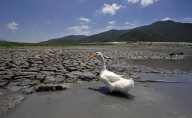Pierde México más de 100 mil millones al año por desastres ligados al cambio climático