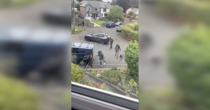 'Put your hands where I can see them' - Moment armed cops with chainsaw swarm terrorist's street