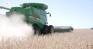 Farmers face challenges as trade policies threaten agricultural profits