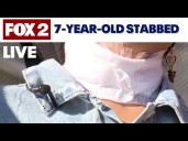 Family of Detroit 7-year-old stabbing victim sues suspect