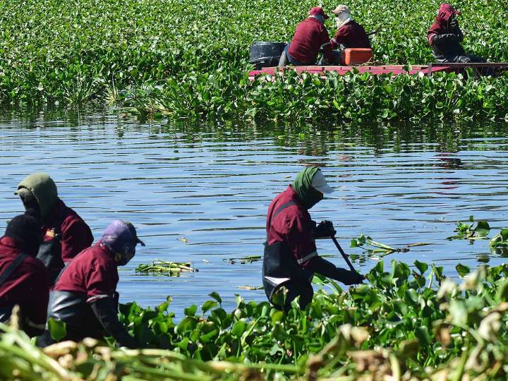México registra su mejor nivel frente a la sequía en tres años