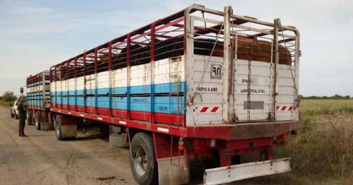 Una estafa por más de $300 millones y una condena simbólica: “Esto es la crisis judicial"