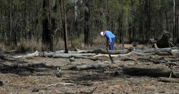 'Get on board': minister's environment overhaul appeal