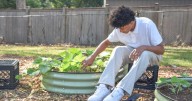 Maggie Brown students go green in school garden