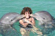 The Register: Rules for comments and forums • The Register