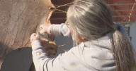 ‘Climbing the Truth and Reconciliation Mountain’ with Mother Teresa School