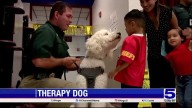 Mission CISD partners with city for student...
