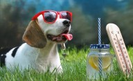 Sube la temperatura este jueves en La Plata: se vienen días de calor y con lluvia a la vista