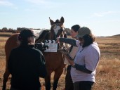 Festival de moda y diseño Tussock en Ushuaia