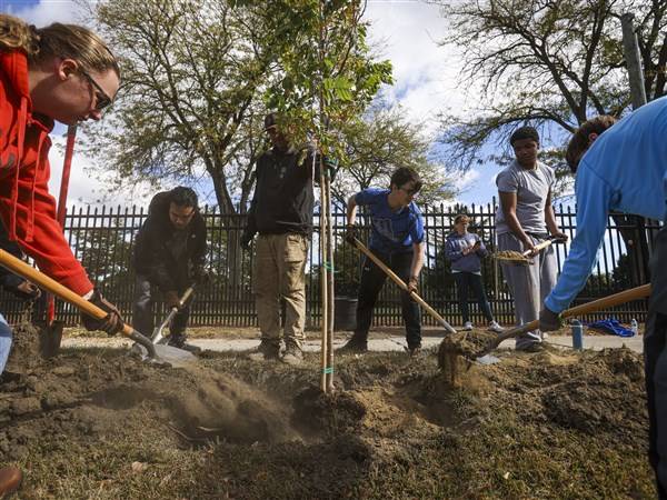 Photo Gallery: RE-TREE Urban Forestry Teen Tree Planting event