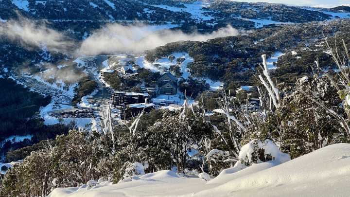 Recovery underway after bodies of two women discovered by hikers in Victoria's alpine region