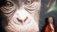 Netflix estrenará una entrevista póstuma e inédita de Jane Goodall