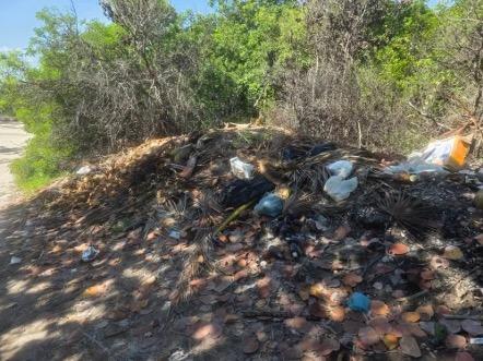 Chelem: Denuncian acumulación de basura en monte