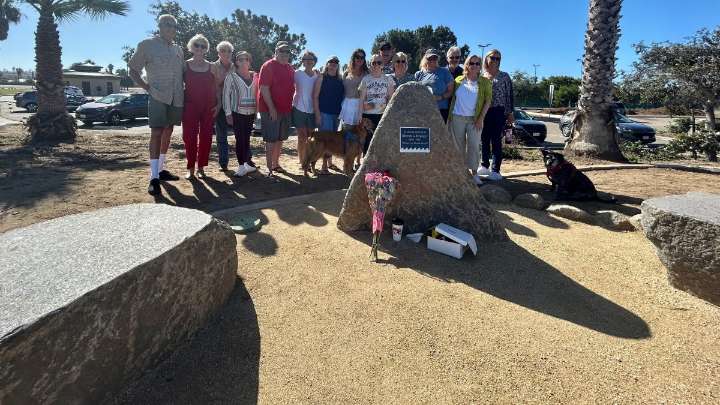 UPS driver Steven Krueger ‘forever in Ocean Beach’ four years after plane crash