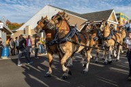 Topsfield Fair 2025: What to know before you go from concerts to Clydesdales