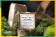 Meet Tribe Tokes — the CBD gummies selling me on Sober October