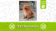 Se perdió Key en Manrique ¿Lo has visto?