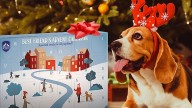 You can get a premium dog treat Advent calendar for under $20 at Chewy