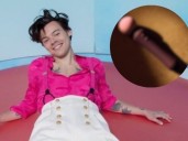Juguetes sexuales y famosos: 5 celebridades que lanzaron sus propias marcas