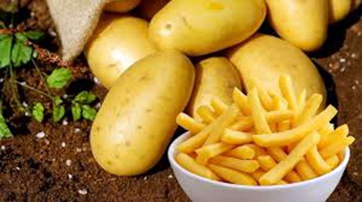 Processed potato products from India gaining  ground in Southeast Asian markets: GTRI