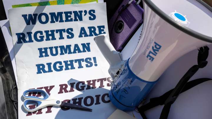 I'm suing Michigan over 'pregnancy exclusion'