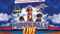 BG-WC Humane Society giving away tickets to ‘Puppy Pals Live’ at SKYPAC