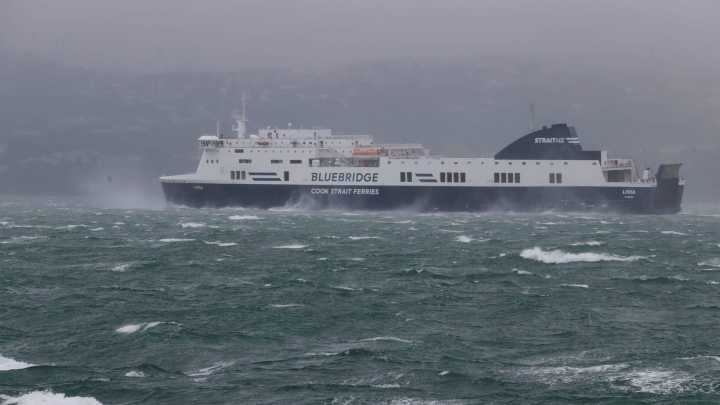 Man killed by tree branch, pedestrian blown into road as storm buffets Wellington, New Zealand