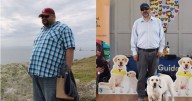 Glasgow man whose life 'fell apart' after sudden sight loss saved by guide dog