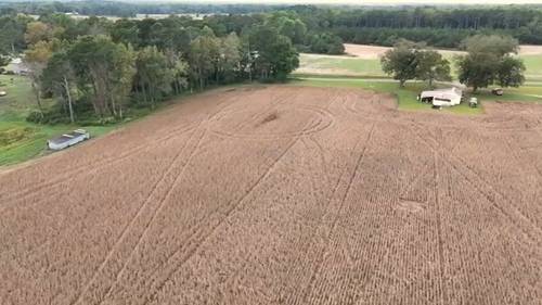 NC farmers say soybeans are latest casualty of trade war between U.S. and China