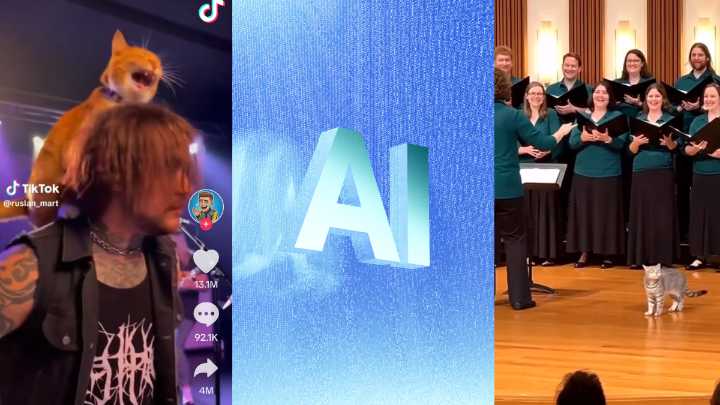 Strange AI-generated clips of musicians with animals are going viral