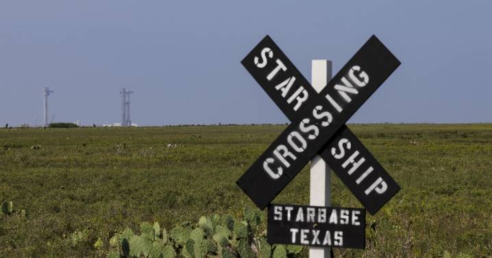 Elon Musk, Cards Against Humanity settle lawsuit over South Texas land