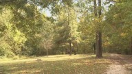 Burdette Park to close some camping sites