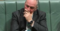 'It'll end in tears': former One Nation MP warns Joyce