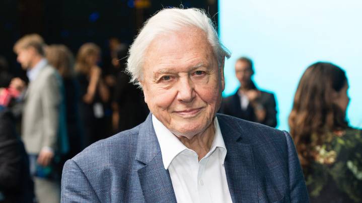 Daytime Emmys 2025: David Attenborough Becomes Oldest Winner