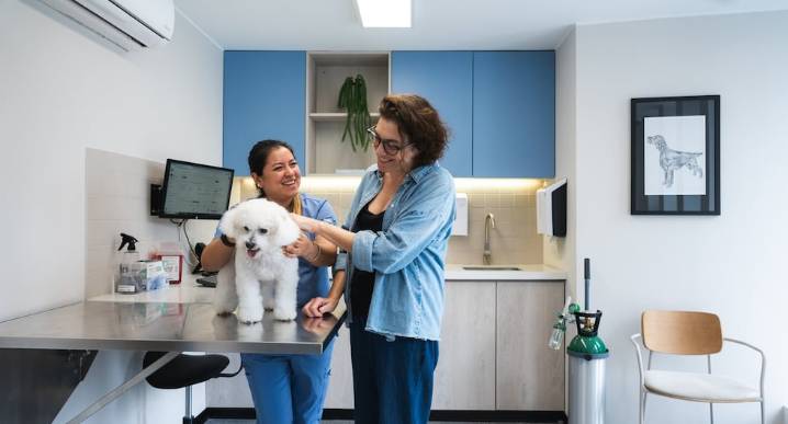 El negocio detrás del boom petcare: ¿en qué invierten más los dueños de mascotas?