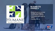 Humane Society of Louisiana offers Petco gift cardd for animal kindness