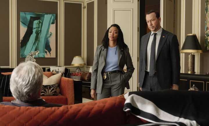 Donnie Wahlberg didn't want Blue Bloods to end ... so he made a spin