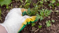 Home Depot's Popular Weed Pulling Tool Buyers Won't Stop Raving About