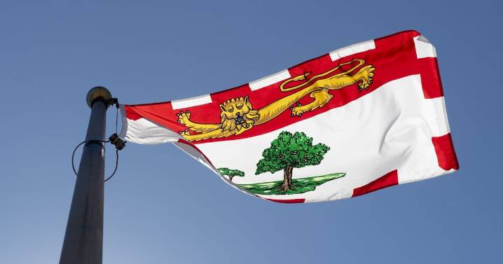 RCMP to review P.E.I. allegations of foreign interference