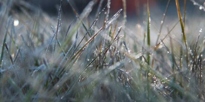 Mid-Michigan’s First Freeze Warning of the season is in effect