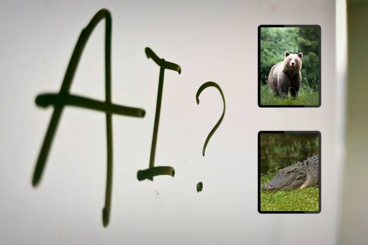 AI Animal 'Attack' Videos Are Fooling Facebook Users
