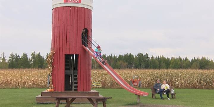 Simek’s Farm celebrates a century by inviting families out for fall fun