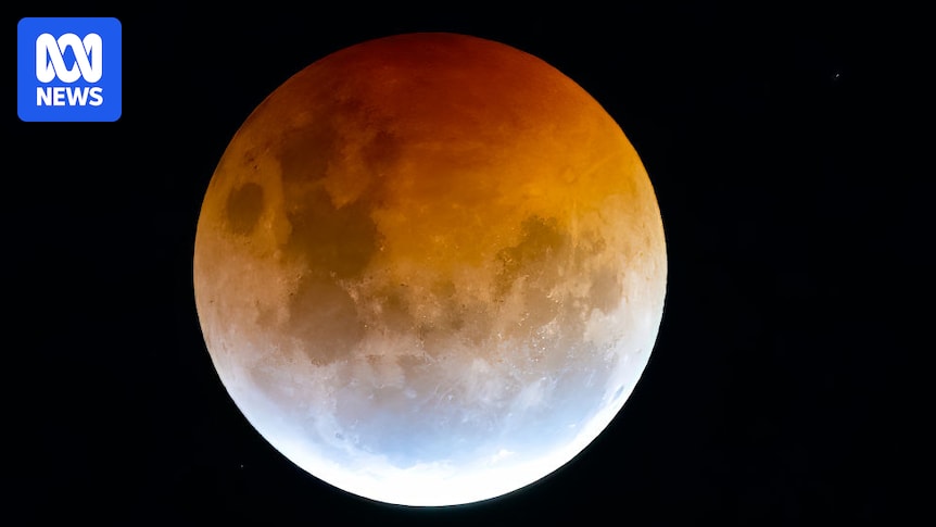 Does a full moon affect your menstrual cycle? Do your periods align with your housemates?